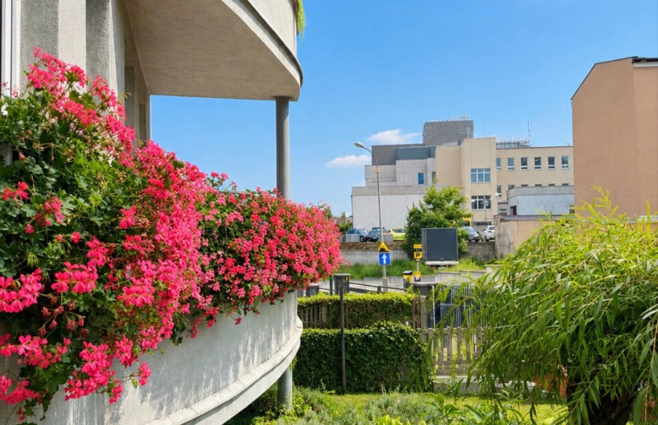 3 pokoje • balkon • ogród | centrum Gniezna