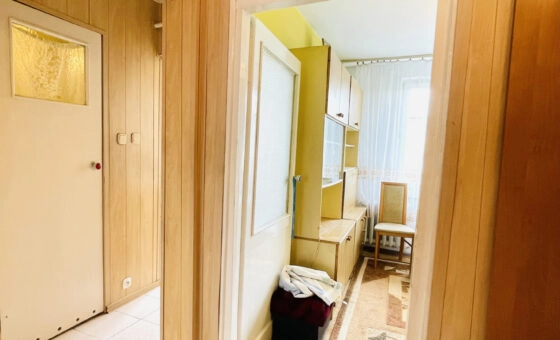 Ustawne mieszkanie w zielonej części Rakowa